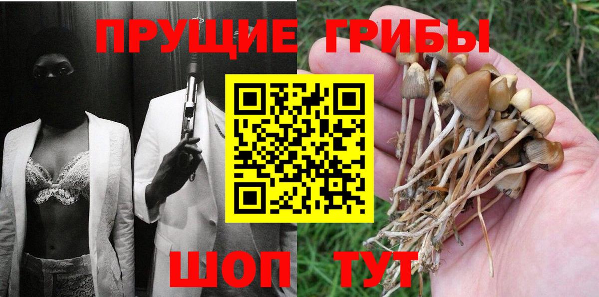 Псилоцибиновые грибы Cubensis Киреевск
